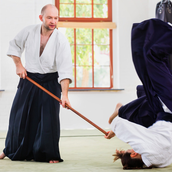 aikido fudoshin Stockkampf Schwertkampf Kampfsport Kampfkunst Selbstverteidigung 