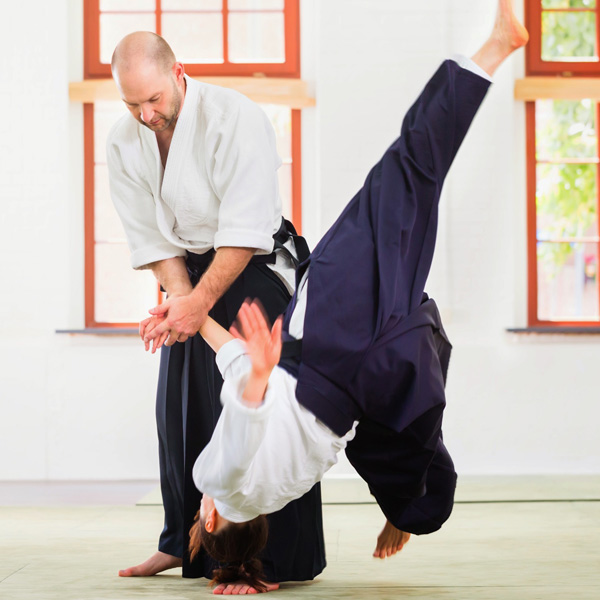 aikido fudoshin Stockkampf Schwertkampf Kampfsport Kampfkunst Selbstverteidigung 